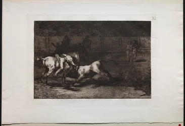 Tyrekamp: Mariano Ceballos, Alias the Indian, Kills the Bull From his Horse, 1876.