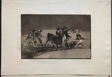 Tyrefekting: Maurerne bruker esler som barriere for å forsvare seg mot oksen..., 1876.