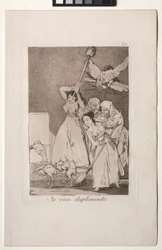 Caprichos: There They Go Plucked (dvs. fleeced)