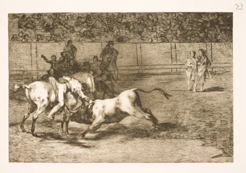 Jahangir, 17th century.    1206396   no       norwegian Successfully Translated  Original: Le Charge d Translat: Le Charge d 1334293 no norwegian Successfully Translated Original: Horse with Head Lowered, 1880searly 1890s. Translat: Keizerskroon, orchidee 