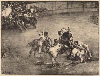 Picador fanget av en okse
