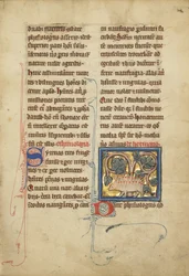 Et pinnsvin fra et bestiarium Ms Ludwig XV 4, fol. 82, ca. 1280-1300 (tempera, penn og blekk, bladgull og maling på pergament)