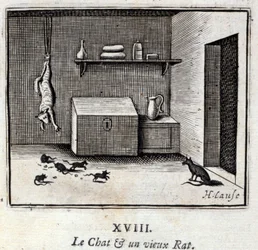 Katten og en gammel rotte. Fabler av Jean de La Fontaine (1621-95). Illustrasjon av Francois Chauveau (1613-1676). Utgave av 1728.