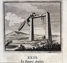 Den engelske reven. Fabler av Jean de La Fontaine (1621-95). Illustrasjon av Francois Chauveau (1613-1676). Utgave av 1728.