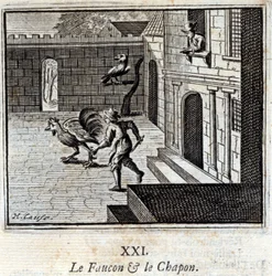 Falken og Kaponen. Fabler av Jean de La Fontaine (1621-95). Illustrasjon av François Chauveau (1613-1676). Utgave av 1728.