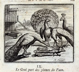 Skriken pynter seg med påfuglfjær. Fabler av Jean de La Fontaine (1621-95). Illustrasjon av François Chauveau (1613-1676). Utgave fra 1728.