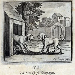 Lusen og hennes følgesvenn. Fabler av Jean de La Fontaine (1621-95). Illustrasjon av Francois Chauveau (1613-1676). Utgave av 1728.