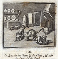 Querellen av hunder og katter, og den til katter og mus. Fabler av Jean de La Fontaine (1621-95). Illustrasjon av François Chauveau (1613-1676). Utgave av 1728.