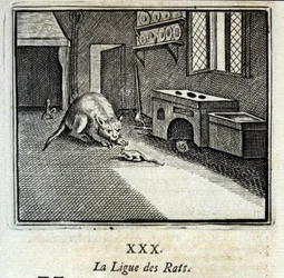 Rotteligaen. Fabler av Jean de La Fontaine (1621-95). Illustrasjon av François Chauveau (1613-1676). Utgave av 1728.