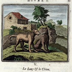 Ulven og hunden. Fabler av Jean de La Fontaine (1621-1695). Illustrasjon av Francois Chauveau (1613-1676). Utgave av 1728.