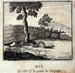 Slangens hode og hale. Fabler av Jean de La Fontaine (1621-95). Illustrasjon av François Chauveau (1613-1676). Utgave fra 1728.