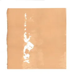 Whirling Dervish, 2015, skjermtrykk