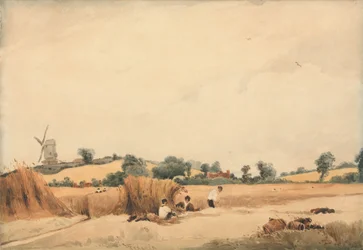 Høsting