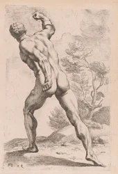 Borghese Gladiator, sett bakfra [plate 29]