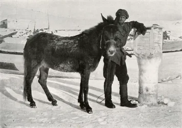 Gran With Mule Lal Khan, c1911, 1913