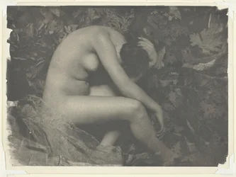 Sikaden, 1898.