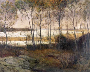 Sølvfargede vann