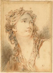 Leder for Bacchante