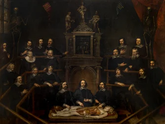 Anatomitimen til doktor Joannes van Buyten på kirurgens rom i Antwerpen