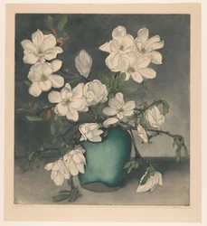 Magnoliataket