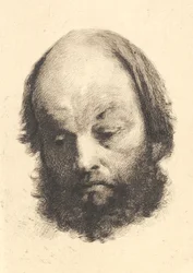 Svartskjeggmann, Garibaldi