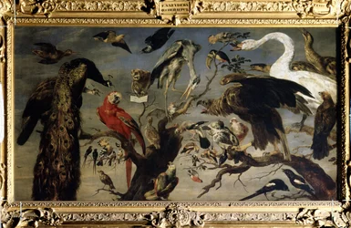 Konsert av fugler (En fuglekonsert). Maleri av Frans Snyders (1579-1657). Olje på lerret