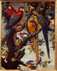 Papegøyer og andre fugler Maleri av Frans Snyders (1579-1657) 1600-tallet Søn. 1,22x0,98 m Grenoble, Musee des Beaux Arts