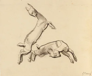 Hoppende Zicklein
