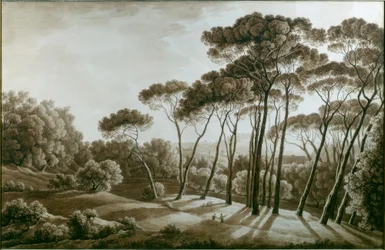 Furutrærne i Villa Doria Pamphili