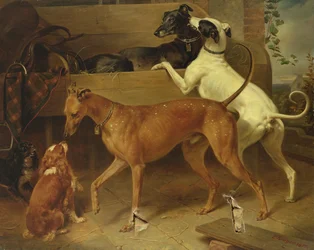 Krugers hunder, 1855
