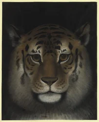 Tigerhode