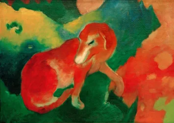 Rød hund
