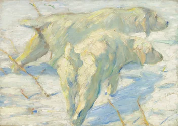 Sibirske hunder i snøen, 19091910.