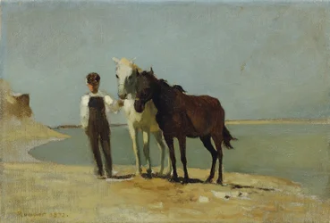En gutt med hester på stranden
