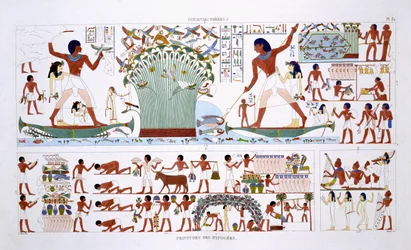 Preparing food for Dead, fra en sjelden registrering av fresker fra Theben, registrert 1819-1822 på sitt andre besøk i Egypt av Frederic Cailliaud (1787-1869), farge litho