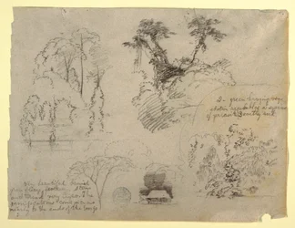 Botaniske studier og et hus, sannsynligvis fra Colombia