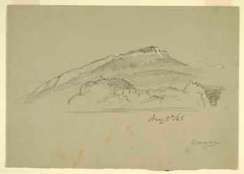 Tegning, et tre, Bayern, 8. august 1868