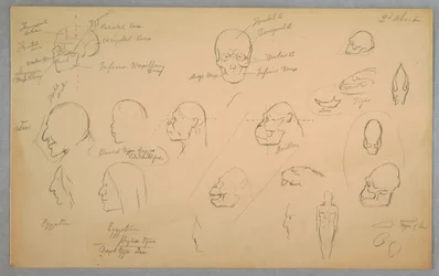 Tegning, anatomiske studier, 1865–70