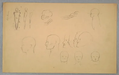 Tegning, anatomiske studier, 1865–70