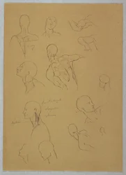 Tegning, anatomiske studier, 1865–70