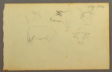 Tegning, kyr, 1844