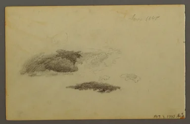 Tegning, råtten bjørk, 1844