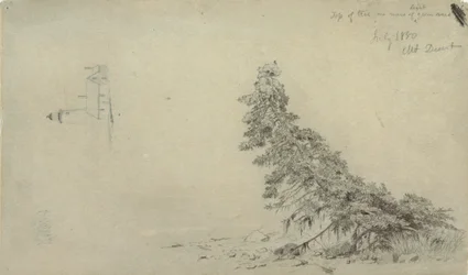 Tegning, eviggrønt tre nær kysten med en detalj av fyret og et hus, Mount Desert, Maine, juli 1850