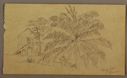 Tegning, Hus og bregne, mai 1865