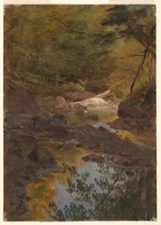 Tegning, i New England-skogen, 1855–65