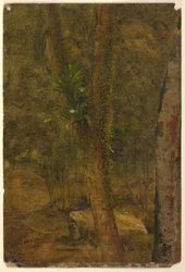 Tegning, jungelscene, juni 1865