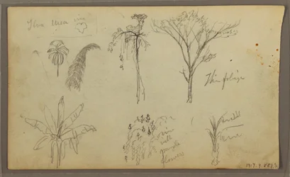 Tegning, Landskap, Guayaquil, Ecuador, 21. mai 1857