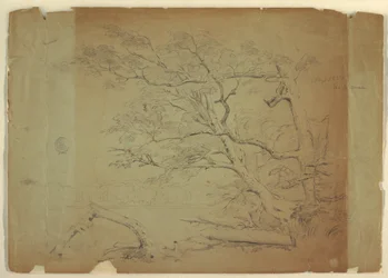 Tegning, Landskap med trær og en bekk [], Grand Manan Island, Canada, september 1851