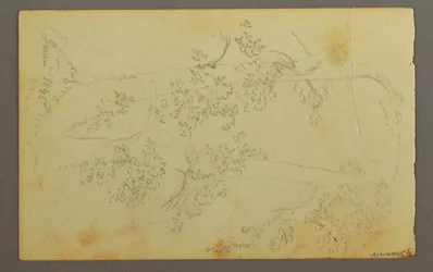 Tegning, Mølle omgitt av trær, 1845