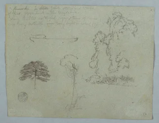 Tegning, naturstudier fra Rio Magdalena, Colombia: Trær, vinranker og en kano, mai 1853